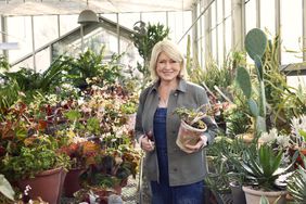 Martha Stewart in her greenhouse